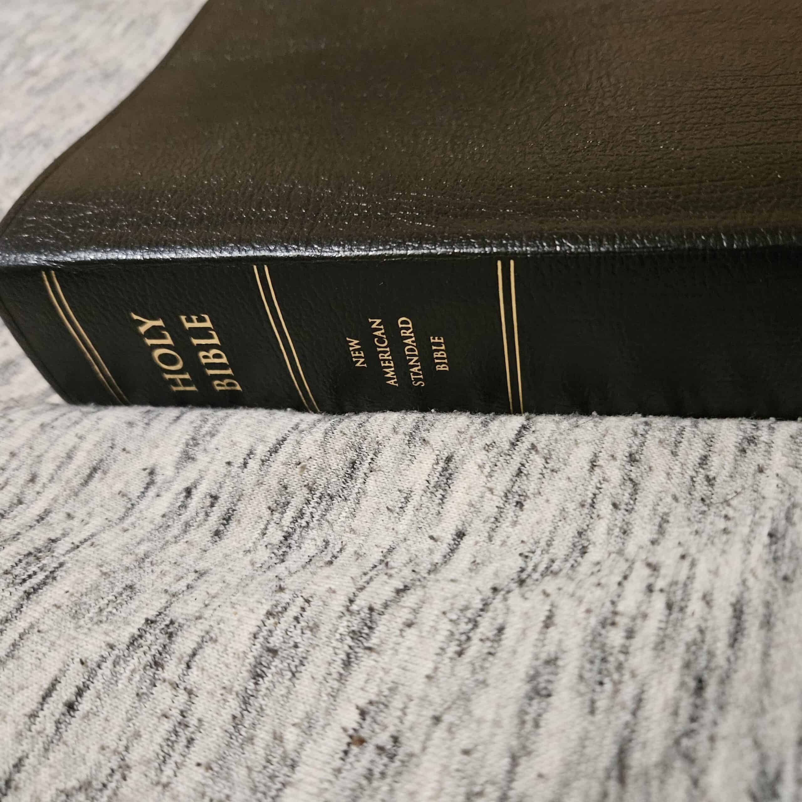 NASB Study Bible Review: An Honest and Thorough Look