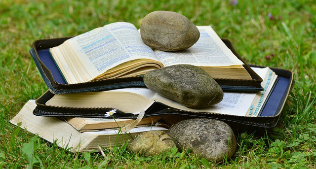 Study Bibles for Beginners: Finding the Perfect One