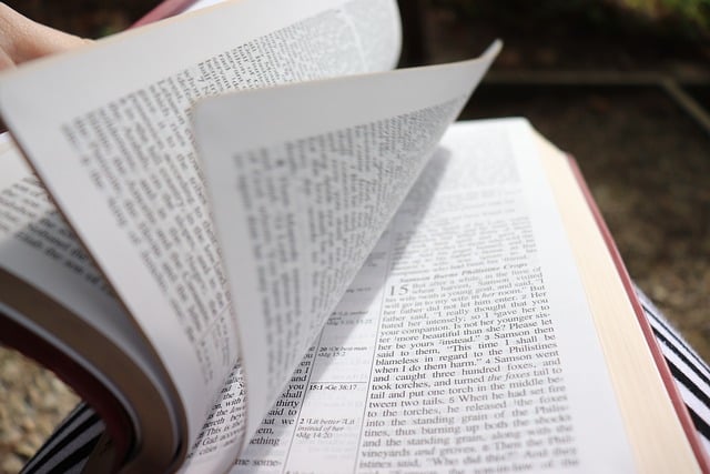 Interpreting the Bible: Who Can Do It And Why the Variations