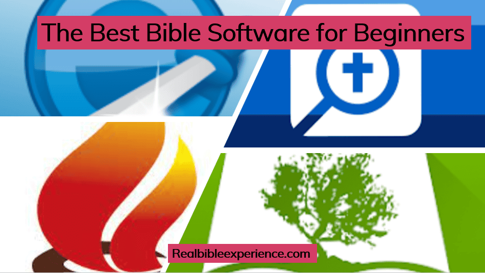 Bible Study Software: The Absolute Best For Beginners