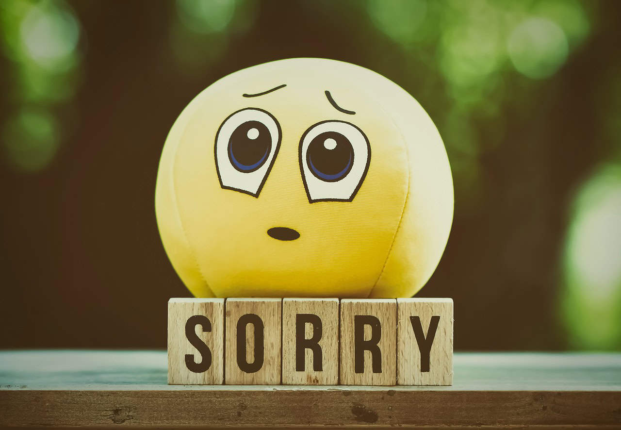 excuse me, sorry, smiley, cute, forgiveness, i beg your pardon, pardon, apologize, forgive, fun, friendly, face, material, sorry, sorry, sorry, sorry, sorry