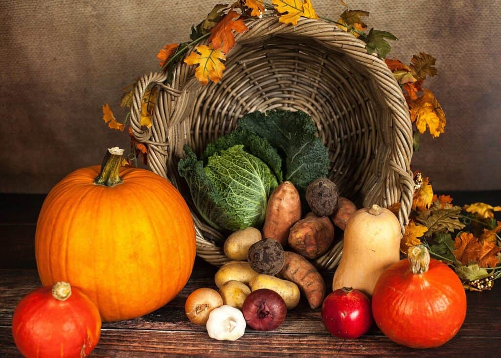 pumpkin, vegetables, autumn, basket, vegetable basket, raw, raw vegetables, harvest, produce, organic, fresh, still life, thanksgiving basket, thanksgiving, october, potato, vegan, nutrition, healthy, vegetarian, vegetables, thanksgiving, thanksgiving, thanksgiving, thanksgiving, thanksgiving